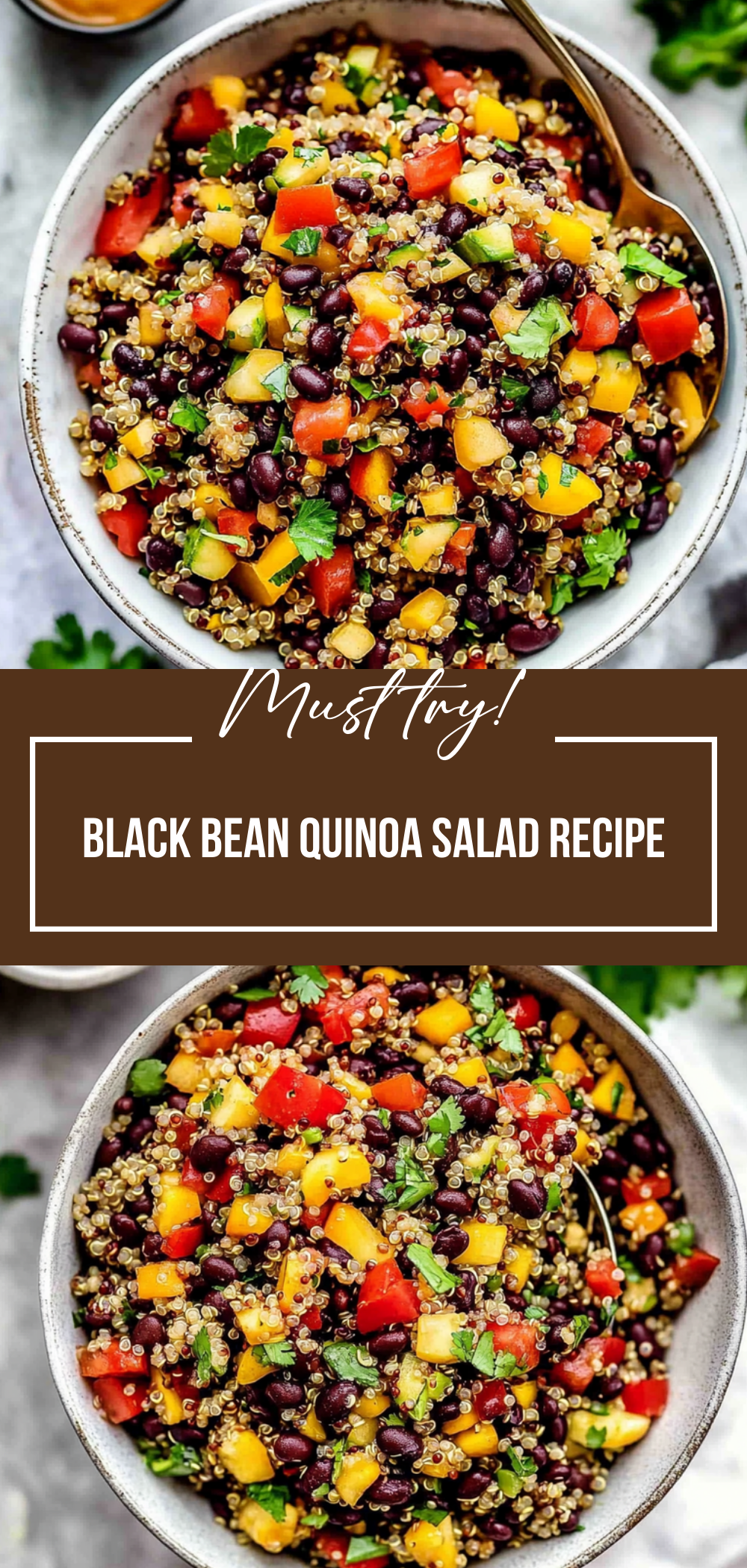 Black Bean Quinoa Salad Recipe