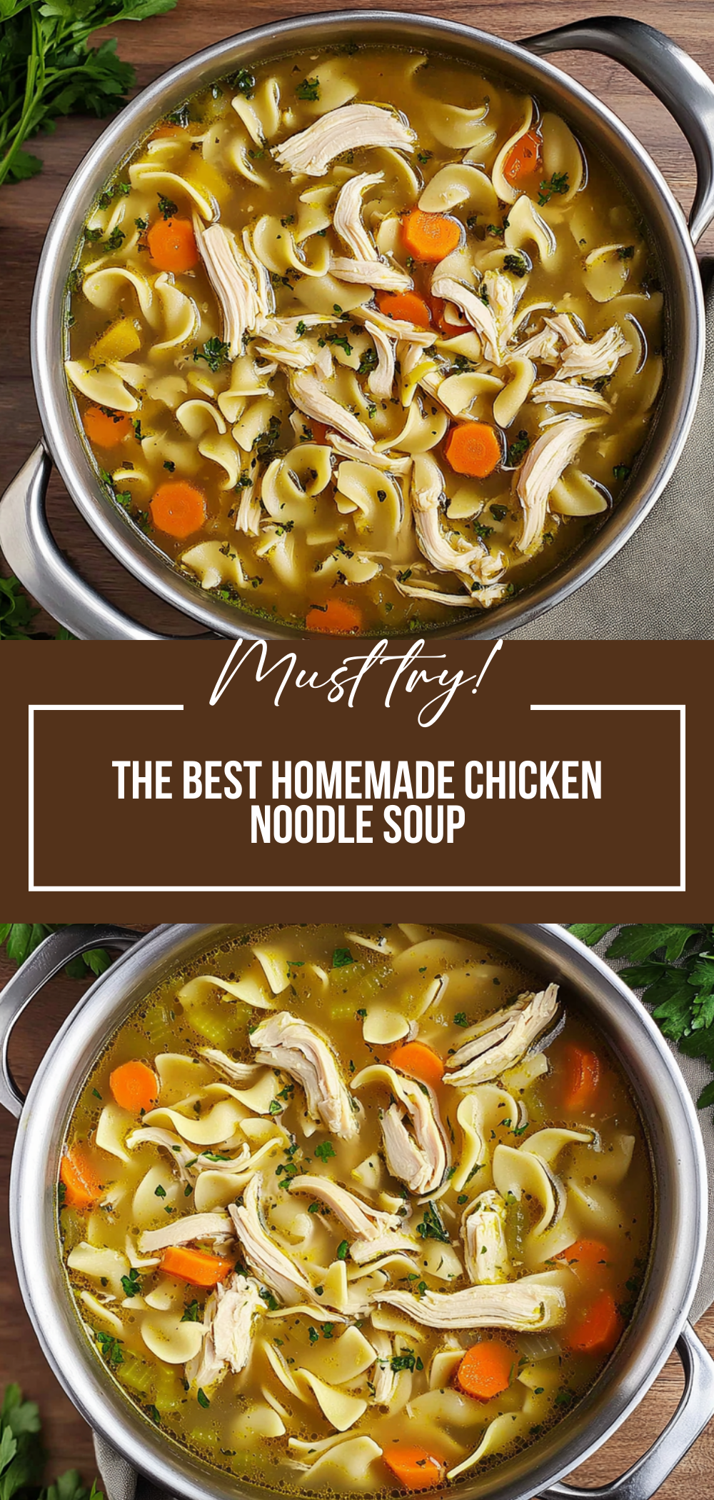 The Best Homemade Chicken Noodle Soup