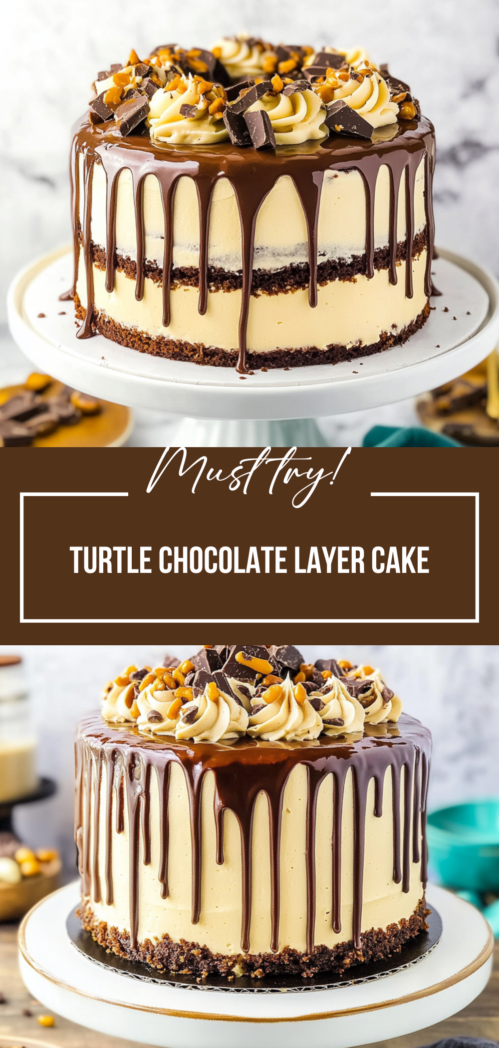 Turtle Chocolate Layer Cake